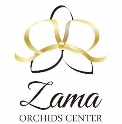 zama_orchids